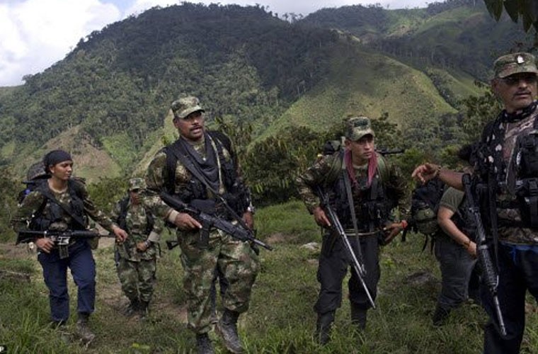 Anh hiem: Cuoc song trong rung cua quan noi day Colombia-Hinh-11